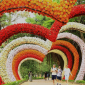 “Điểm hẹn cuối tuần” tại không gian văn hoá Hội An - Công viên Hội An thành phố Thanh Hoá