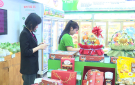 Thành phố Thanh Hóa có 170 cửa hàng kinh doanh thực phẩm an toàn