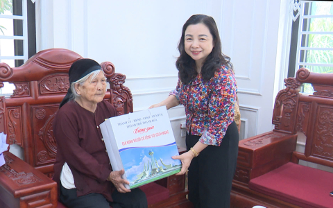 Lãnh đạo thành phố thăm tặng quà mẹ Việt Nam anh hùng, Anh Hùng lực lượng vũ trang Nhân dân